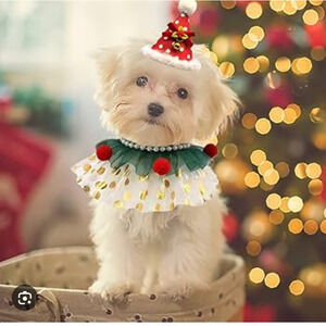 Christmas Party Dog Cat Costume Collar Hat Accessories Adjustable Set Brand New